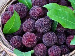 嘉弘塑料護(hù)目鏡專用PVC粒料，助力早日打贏疫情